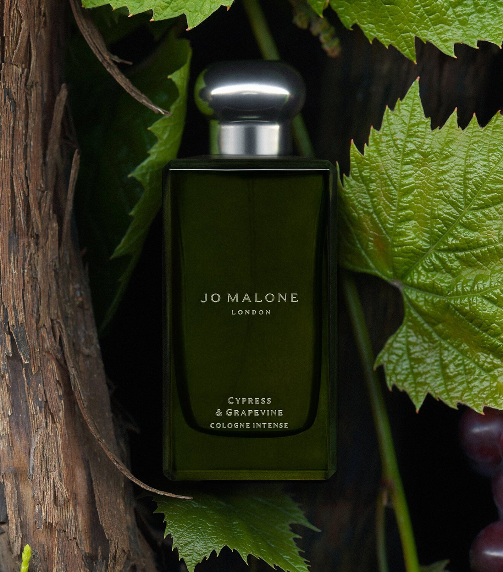 Jo Malone Cypress & Grapevine Intense